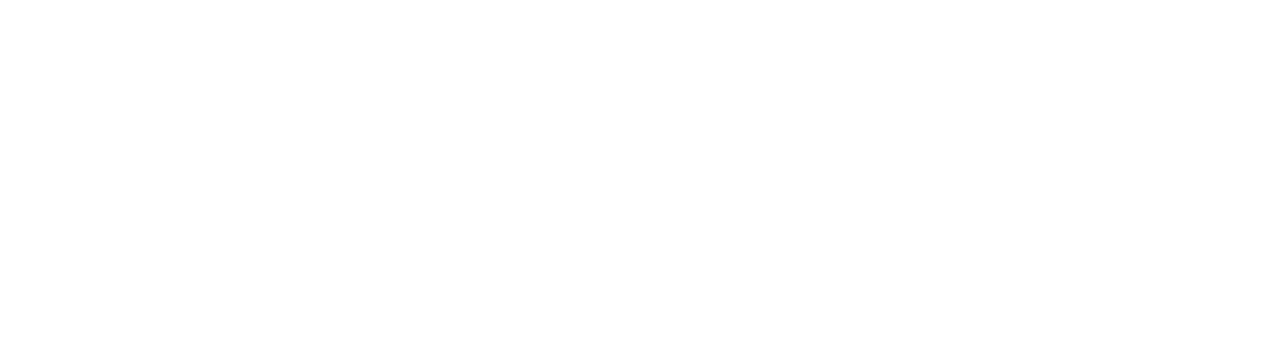 niicee solutions